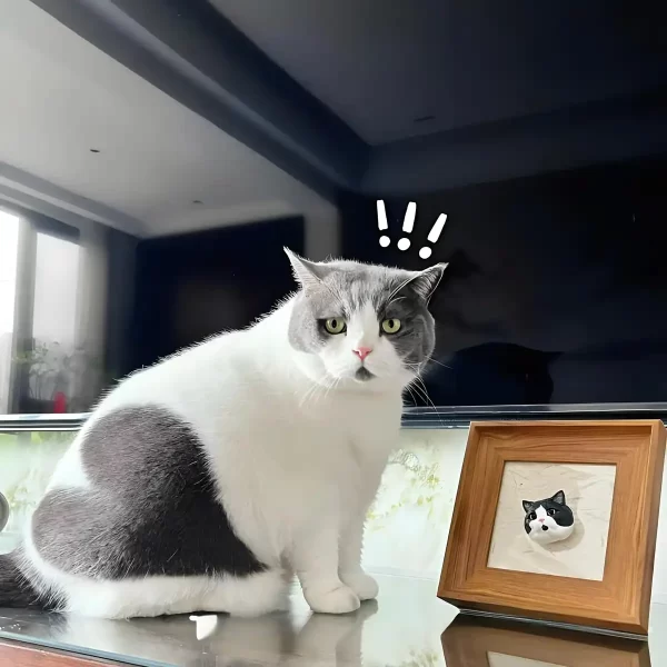 Custom pet statue photos, suitable for all cats and dogs